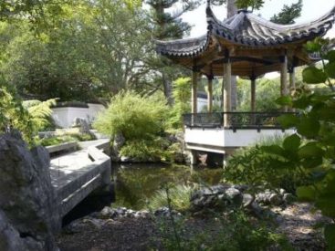 Huangshi Chinese Garden at Queens Gardens